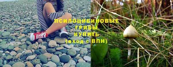 бошки Абдулино