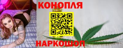 мяу мяу мука Абакан