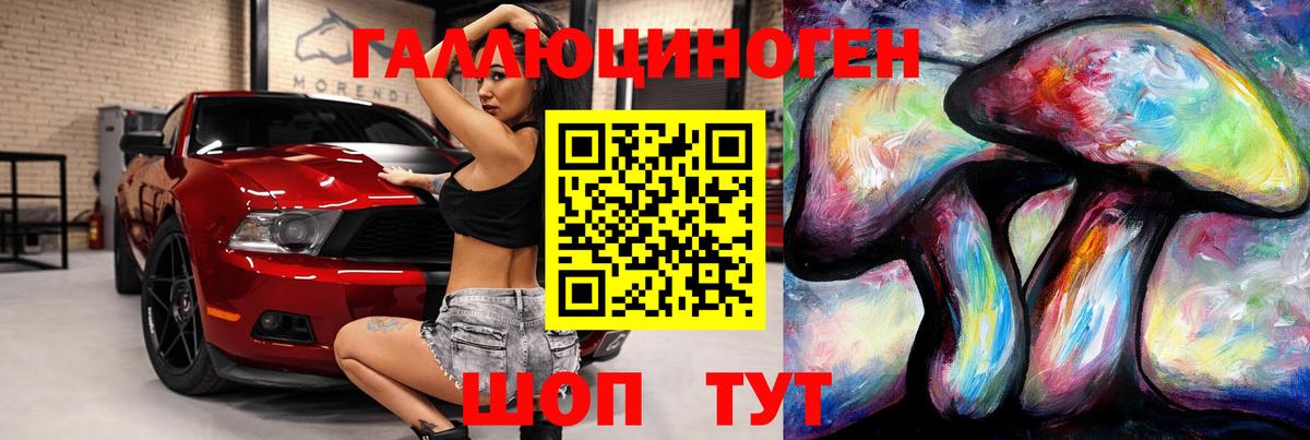 Алатырь  Галлюциногенные грибы Psilocybe  Вход с VPN 